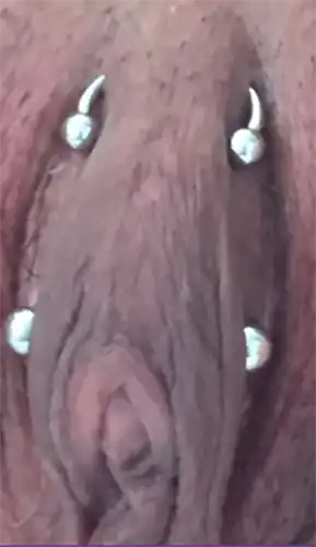 horizontal-clitoral-hood-piercing