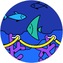 Tara Looijs profile picture