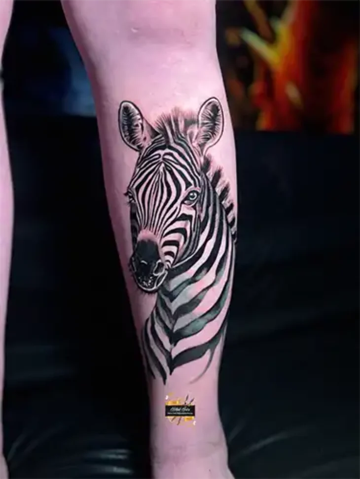 zebra-potrait-tattoo