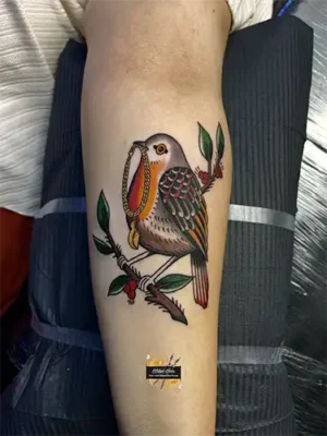 american-traditional-styled-robin-tattoo